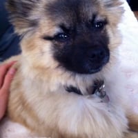 Photo #265360 de Naya