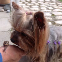 Photo #265435 de Kalinka