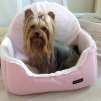 Photo #265436 de Kalinka