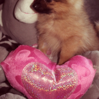 Photo #265505 de LUNA