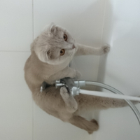 Photo #265533 de Juna