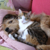 Photo #265767 de Cadou