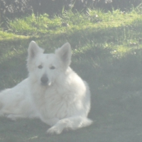 Photo #265815 de hades