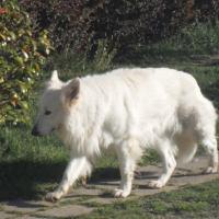 Photo #265816 de hades