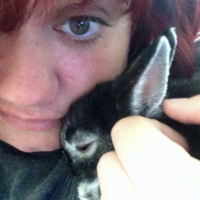 Photo #265935 de Messi