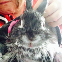 Photo #265937 de Messi