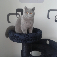 Photo #265979 de Jencko