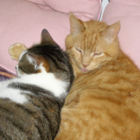 Photo #266058 de Kaëlig