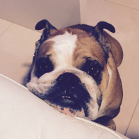 Photo #266061 de Lily-Rose