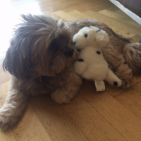 Photo #266068 de Arsouikke