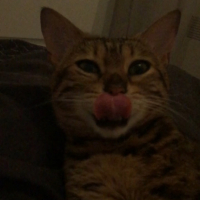 Photo #266211 de Princesse