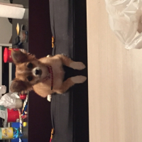 Photo #266214 de Tika