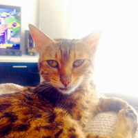 Photo #266233 de Princesse