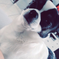 Photo #266362 de Idylle