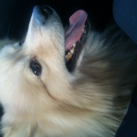 Photo #266401 de Django 