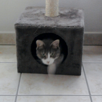 Photo #266405 de gribouille