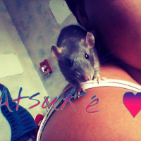 Photo #266420 de Atsuké