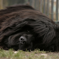 Photo #266426 de gaia
