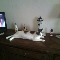 Photo #266442 de sarha