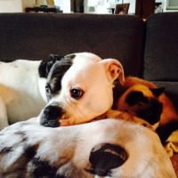 Photo #266575 de Dyva