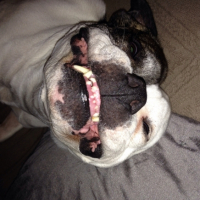 Photo #266576 de Dyva