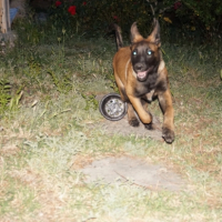 Photo #266683 de India