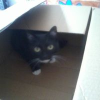 Photo #266765 de blackou