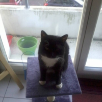 Photo #266769 de blackou