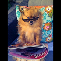 Photo #266774 de Cooper