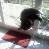 Photo #266775 de blackou