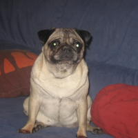 Photo #266782 de zoé
