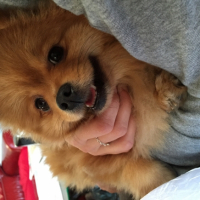 Photo #266858 de Poopie
