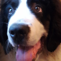 Photo #267050 de lynho