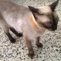 Photo #267129 de Jessika