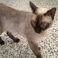 Photo #267130 de Jessika