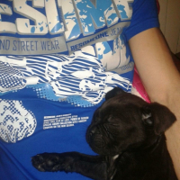 Photo #267239 de Brutus