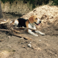 Photo #267274 de Iwan 