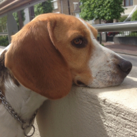 Photo #267276 de Iwan 
