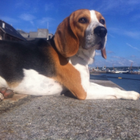Photo #267277 de Iwan 