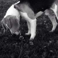 Photo #267278 de Iwan 