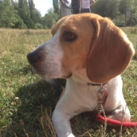 Photo #267280 de Iwan 