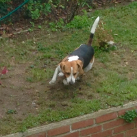 Photo #267281 de Iwan 