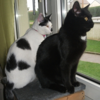 Photo #267305 de Minouche