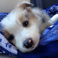 Photo #267350 de Hayden