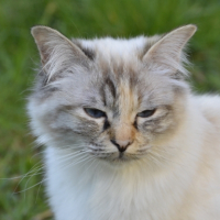 Photo #267467 de Izzy