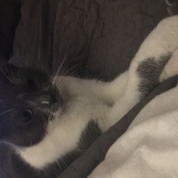 Photo #267478 de Woudy