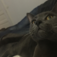 Photo #267479 de Woudy