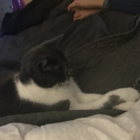 Photo #267480 de Woudy