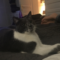 Photo #267481 de Woudy