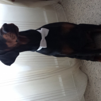 Photo #267529 de gwenn